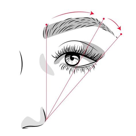 How To Trim Eyebrows Like A Pro How To Trim Eyebrows How To Draw