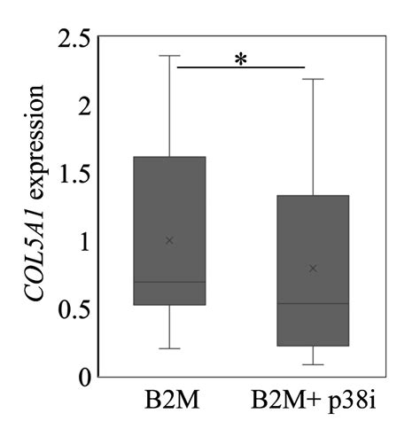 Microglobulin Elevates Col A Mrna In The Subsynovial Connective