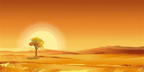 Sunset Orange Sky Autumn Rural Landscape In Farm Fields With Grass Land