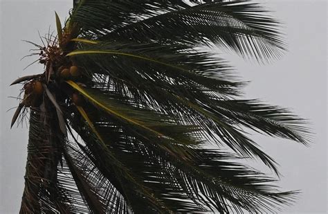 I-DIEM Global Response to Hurricane Melissa 