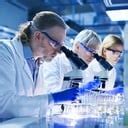 Free Scientists Discuss Climate Image - Scientists, Environmental