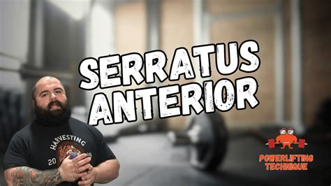 Serratus Anterior Exercises Deserve Time In Every Strength Program