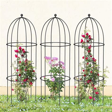 Amazon Urgrowa Pack Metal Plant Cage Support H Peony