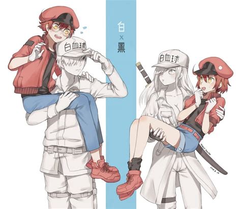 AkaShiro Hataraku Saibou Black Cells At Work Cr Magaonion