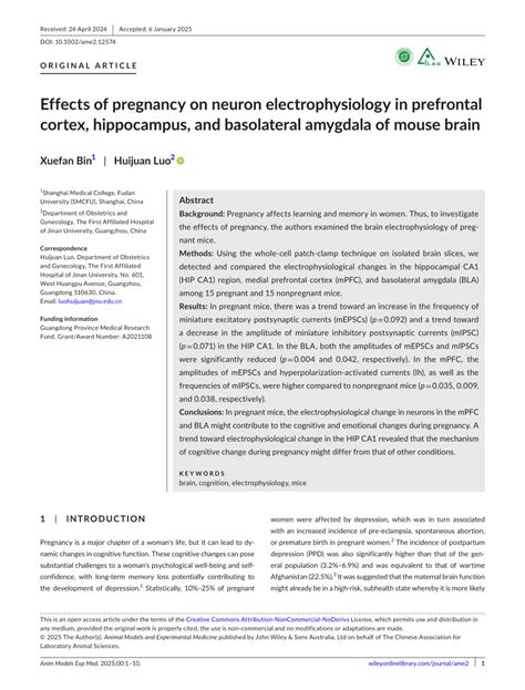 Pdf Effects Of Pregnancy On Neuron Electrophysiology In Prefrontal