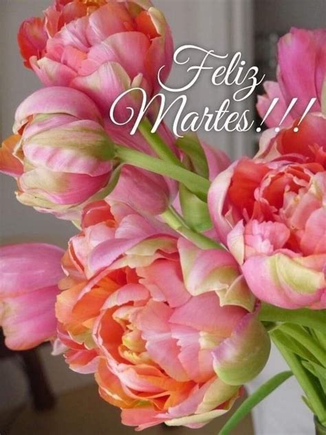 Pin By Heidimichi On Martes Good Day Quotes Feliz Spanish