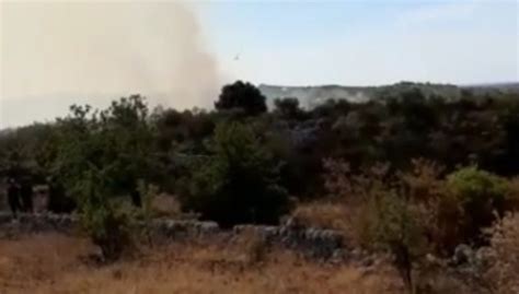 Ostuni Br Incendio Boschivo In Localit San Biagio