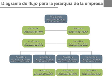 Las Mejores Plantillas De Jerarqu A De Empresas Con Muestras Y Ejemplos