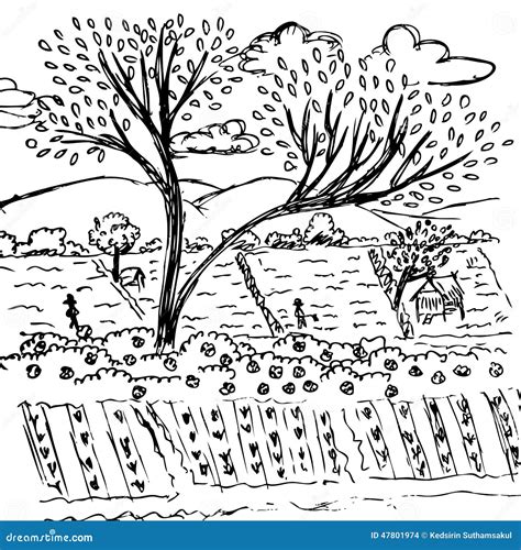 Farmland Sketch, Free Hand Drawing Nature Vector Stock Vector ...