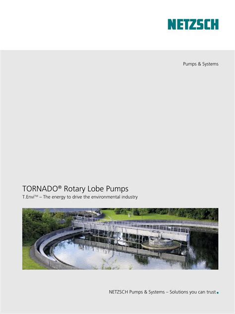 Pdf Tornado Rotary Lobe Pumps Pfi Flowteknik Process Chart Of