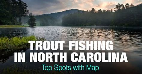 Trout Fishing in North Carolina (NC) - Top Spots with Map