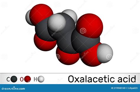 ácido Oxaloacético ácido Oxalacético Oxaloacetato Molécula é Um Produto Intermédio Metabólico