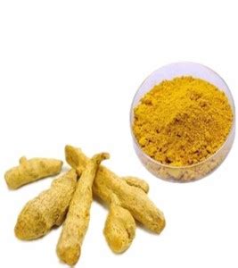 Veganic Organic Haldi Gathhiya Turmeric Whole Sticks Sabut Haldi