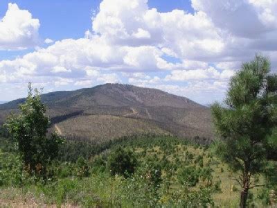 Gallinas Peak 8640 New Mexico