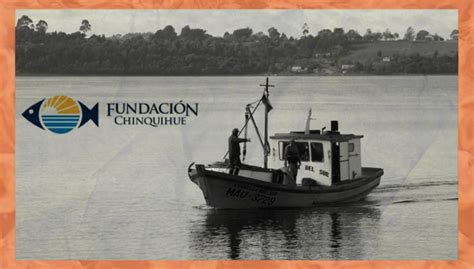 Fundaci N Chinquihue La Ong Que Recibi Millones En Los Lagos