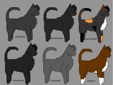 Medicine Cats Of Thunderclan Warrior Cats Book Series Photo 33223249 Fanpop