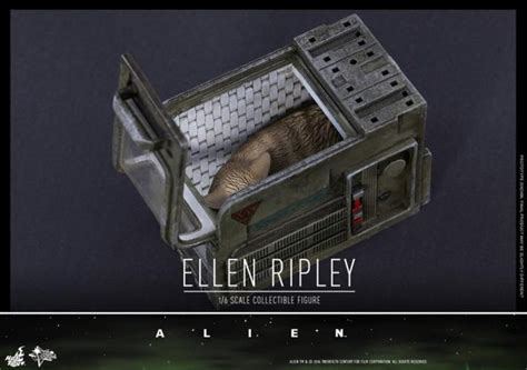 Hot Toys Alien 1 6th Scale Ellen Ripley Collectible Figure