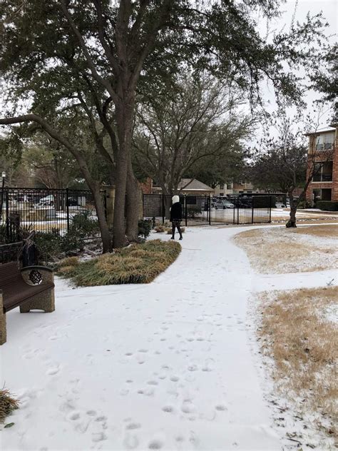 Tempestade De Neve Deixa 400 Mil Sem Luz No Texas