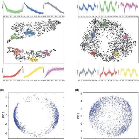 Data Set 2 T SNE Mappings And Nearest Neighbour Plots Provide A Means