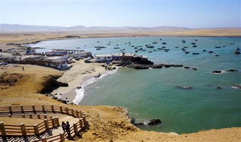 Paracas Full Day Tours En Paracas Perú Playa Roja Tours