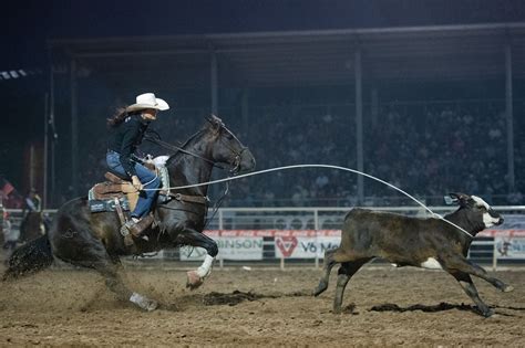 Breakaway Roping Vernal S Dinosaur Roundup Rodeo