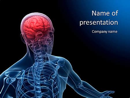 Editable Animated Brain Anatomy Powerpoint Template Pptx Powerpoint