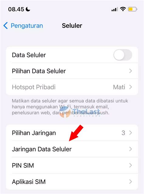 Cara Mengatasi Data Seluler Tidak Bisa Aktif Di Iphone