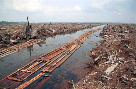 Combatir climático y la pérdida de biodiversidad