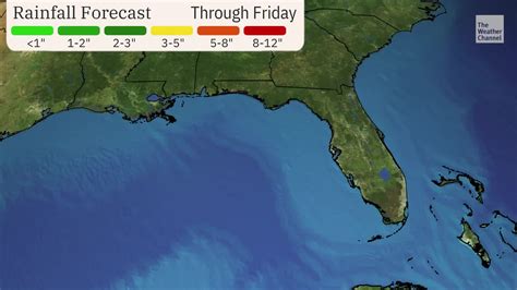 Rounds Of Rain Will Increase Florida Flood Threat - Videos from The ...