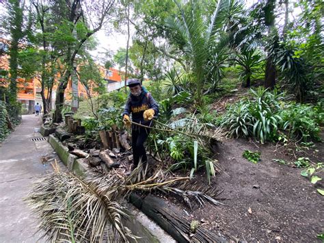 Trabajo Cdmx On Twitter A Trav S Del Programa Trabajoentuunidad De