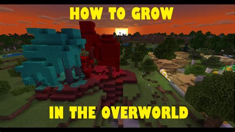 How To Grow Nether Trees In The Overworld Bedrock Youtube