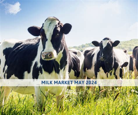 Milk Market Outlook MAY 2024 Ceva Ruminants Global