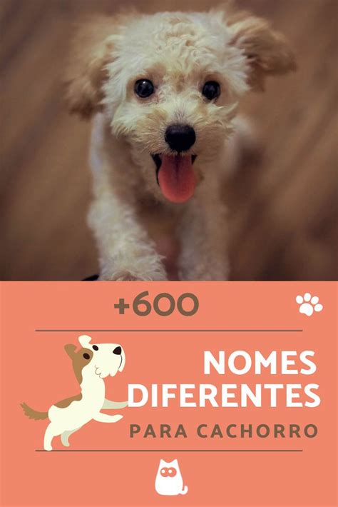 Nome Para Dar Para Cachorro - Nomes Diferentes para Cachorro | Nome de cachorro branco, Nomes pra ...