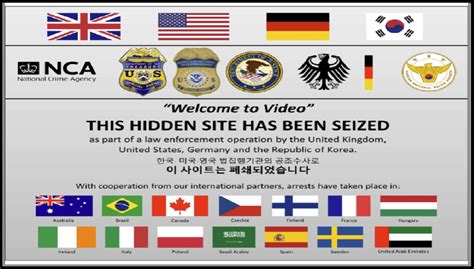 wv seizure march    scientific diagram