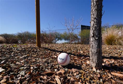 ドジャース大谷翔平は万全！「脇腹は全く問題ない」161日ぶり屋外フリー打撃 特大140m弾連発 Mlb写真ニュース 日刊スポーツ