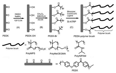 Surface Modifications Of Polyether Ether Ketone Via Polymerization