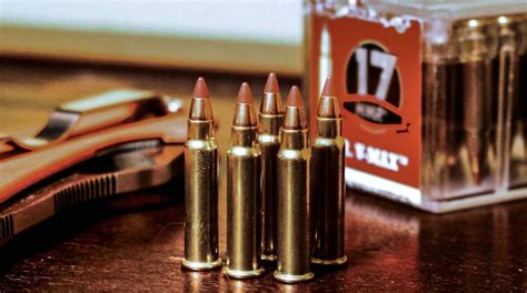 Behind The Bullet 17 Hmr An Official Journal Of The Nra