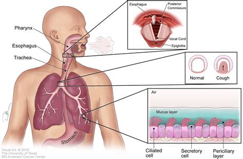 Coughing Up Mucus