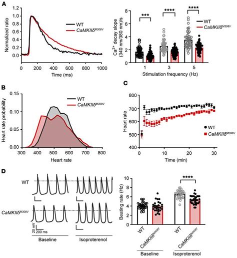 JCI MICAL1 Constrains Cardiac Stress Responses And Protects Against