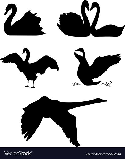 Swan Silhouettes Royalty Free Vector Image Vectorstock