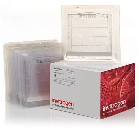 Invitrogen Novex TBE Urea Gels 10 Page Daccueil Fisher Scientific