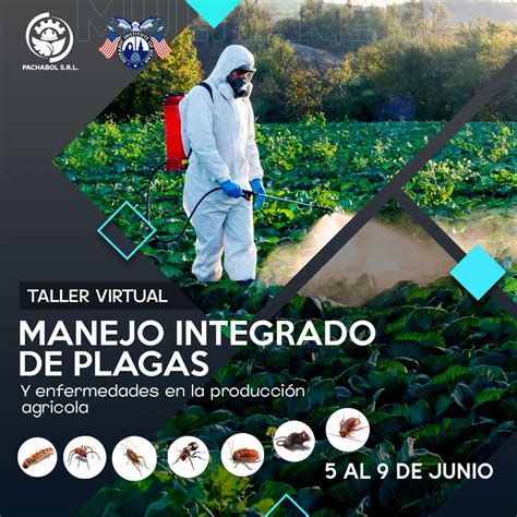 Curso Manejo Integrado De Plagas Y Enfermedades En La Producci N