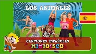 Mini Disco Songs Veo Veo Popnable