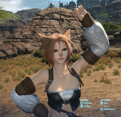 If you played FFXI, What was your old character name and server? : r/ffxiv