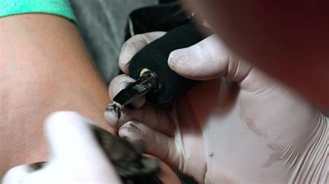 A how much does a tattoo artist make survey sparks debate 11