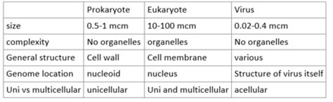 Microbiology Exam 2 Chapter 6 Flashcards Quizlet