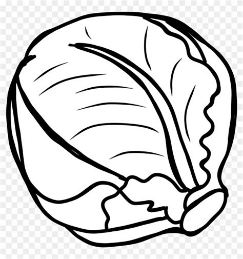 Vegetable Clipart Black And White Free Download Best - Cabbage Clipart Black And White - Free ...