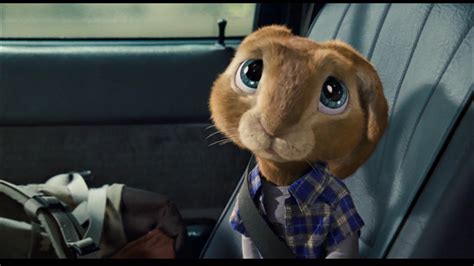 Bambi Eyes - Hop Photo (30199242) - Fanpop