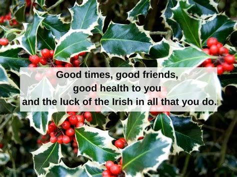 Irish Blessings For Christmas Seasons Greetings From Ireland