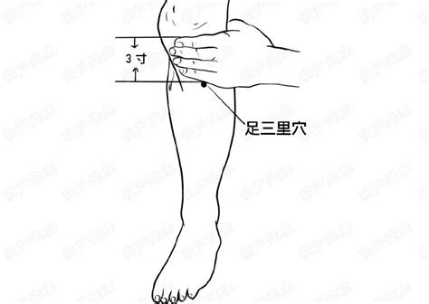 扶阳透灸——小暑至，伏天始！祛湿养生正当时！ 知乎